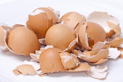 casca ovos para adubo orgânico