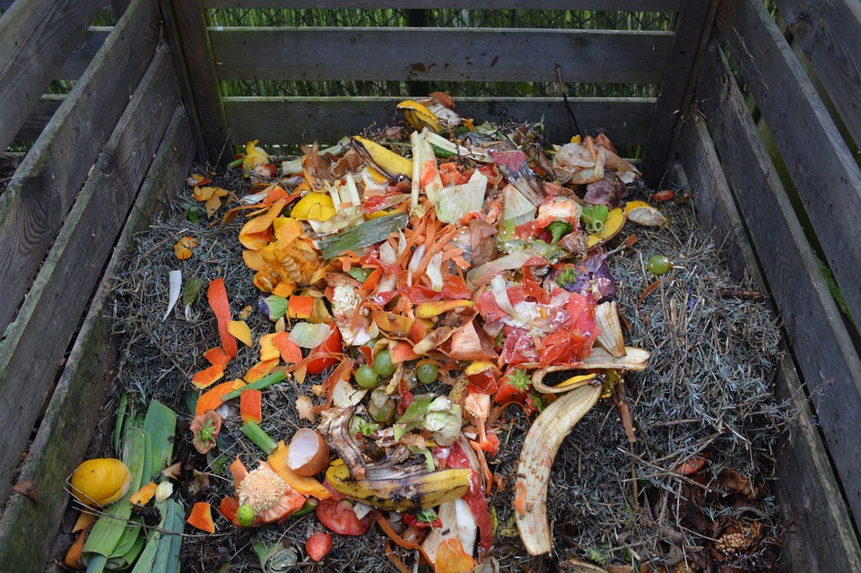 restos-de-alimento-e-compostagem
