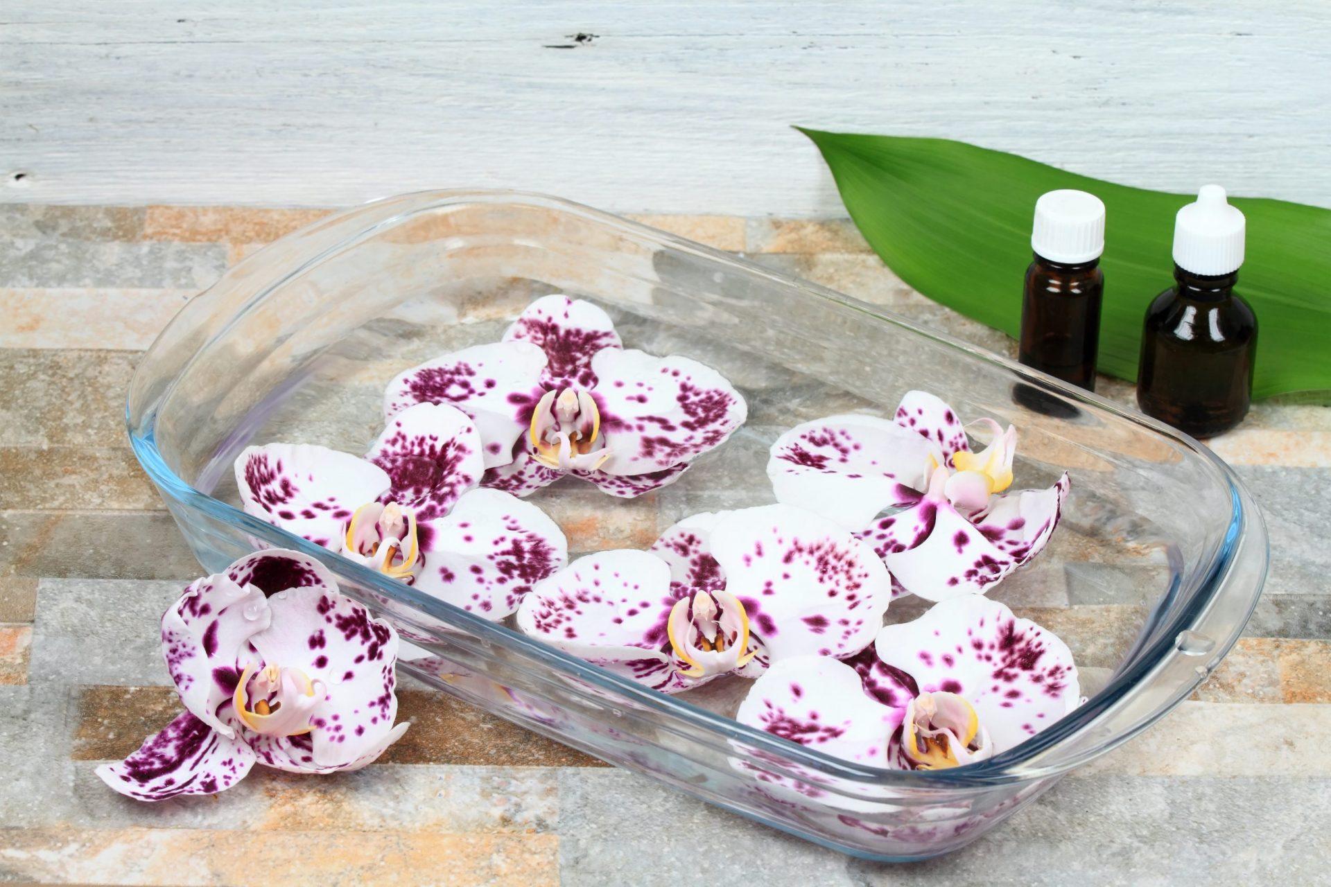Homeopatia para parar de fumar: Florais, o tratamento que vem das flores