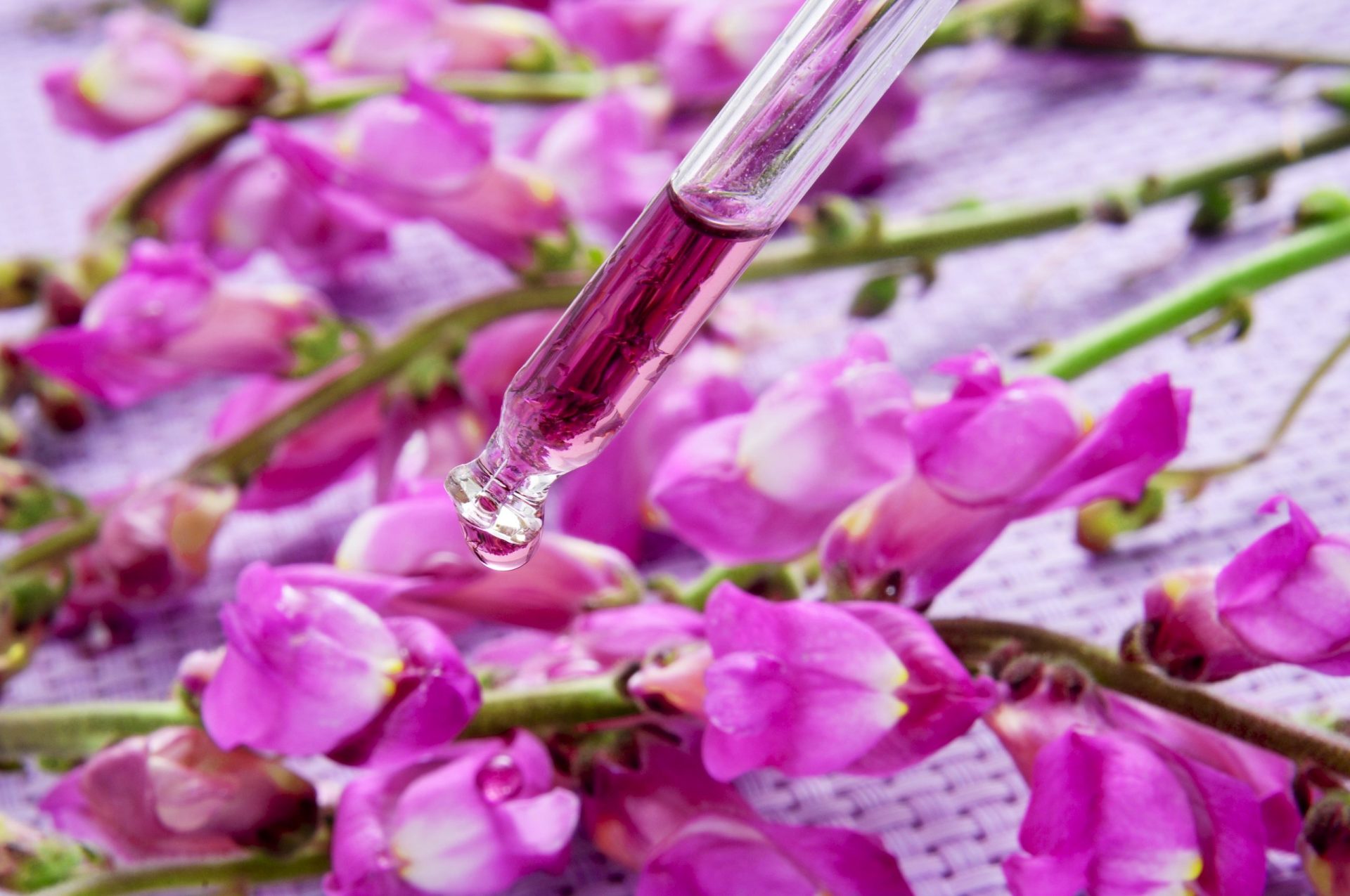 Homeopatia para dor de garganta: Floral para garganta