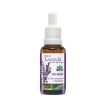 Óleo de Lavanda Pronto para a Pele 30ML – WNF