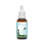 Óleo de Menta Pronto para a Pele 30ML – WNF